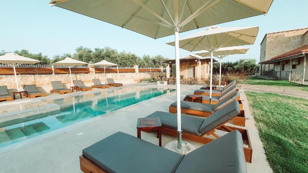 Entheon Olive - Poolside Retreats *