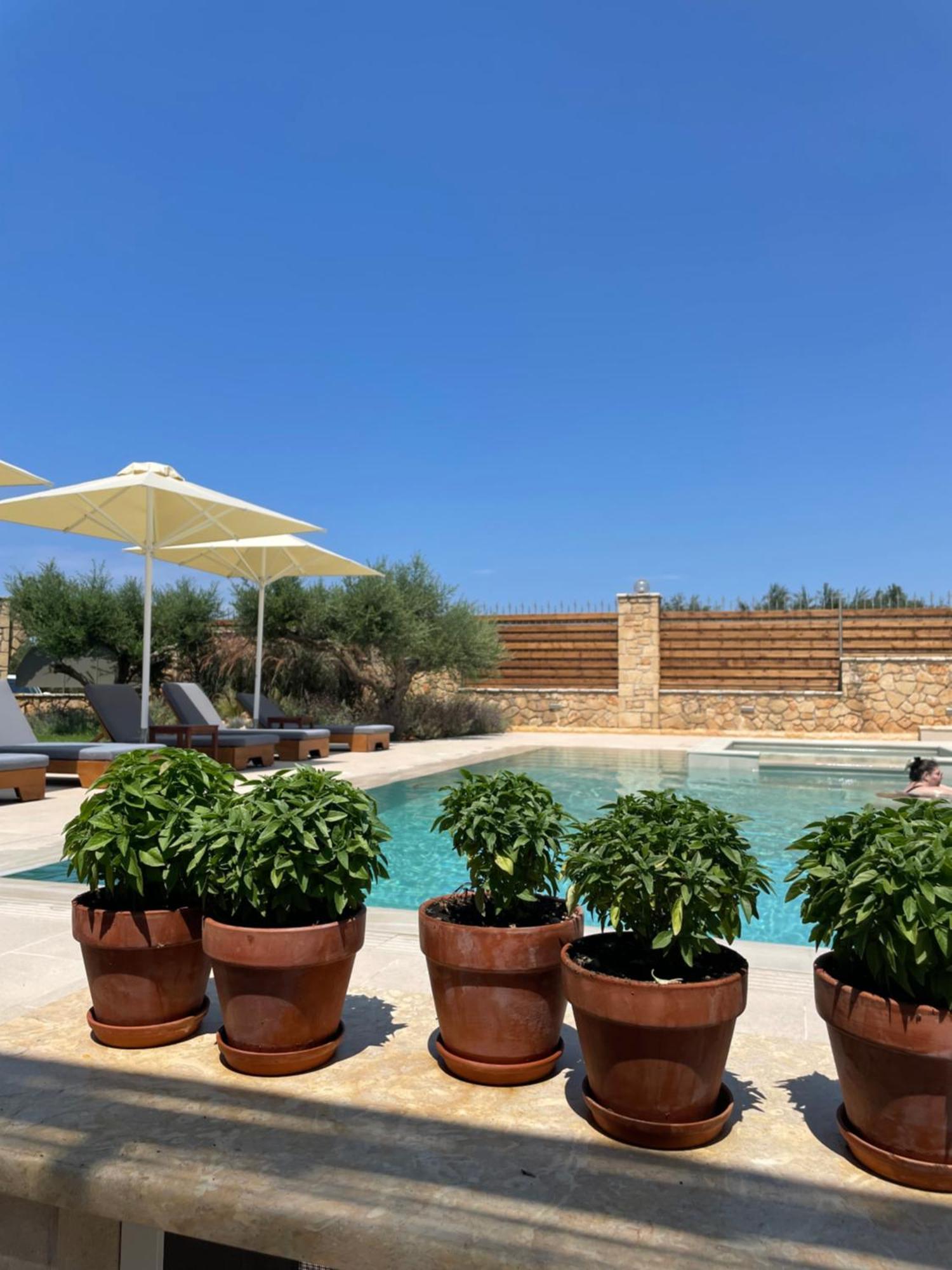 Villa Entheon Olive - Poolside Retreats