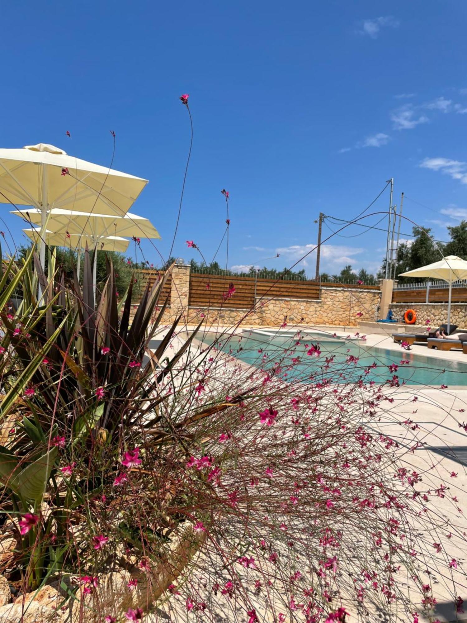 Villa Entheon Olive - Poolside Retreats Marathopoli
